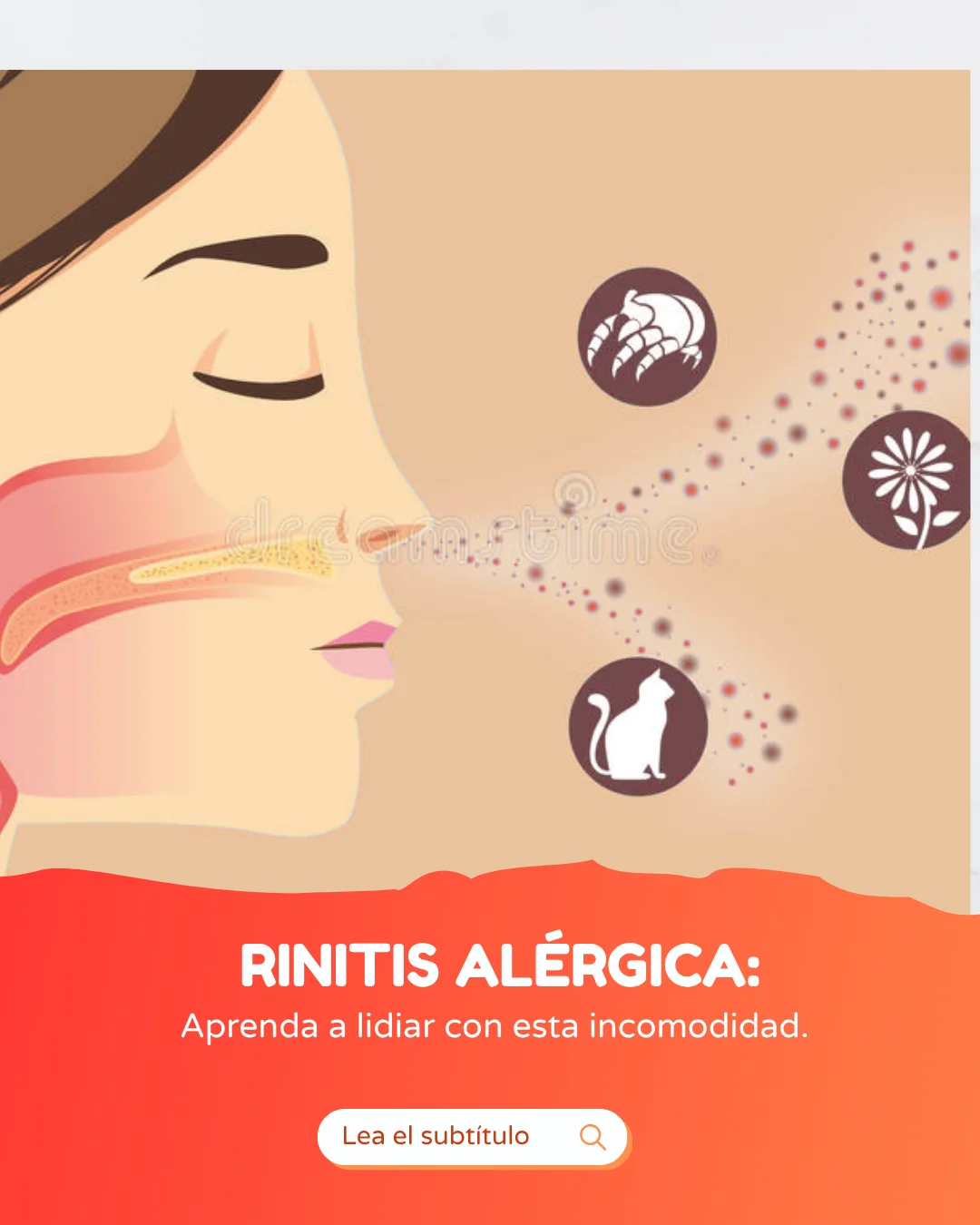 Plantilla feed