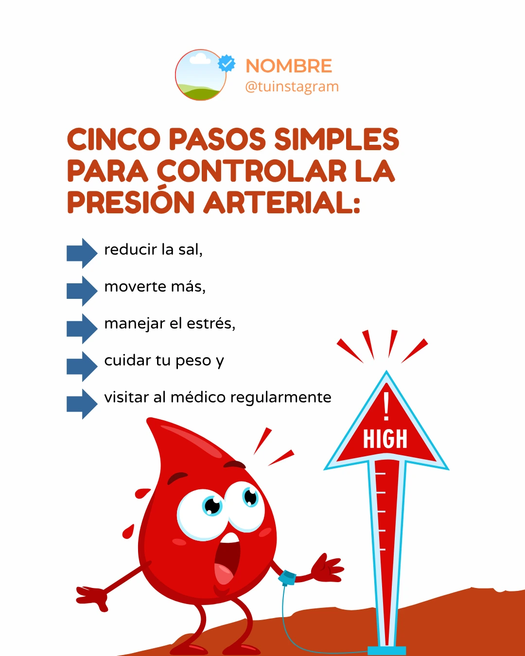 Plantilla feed