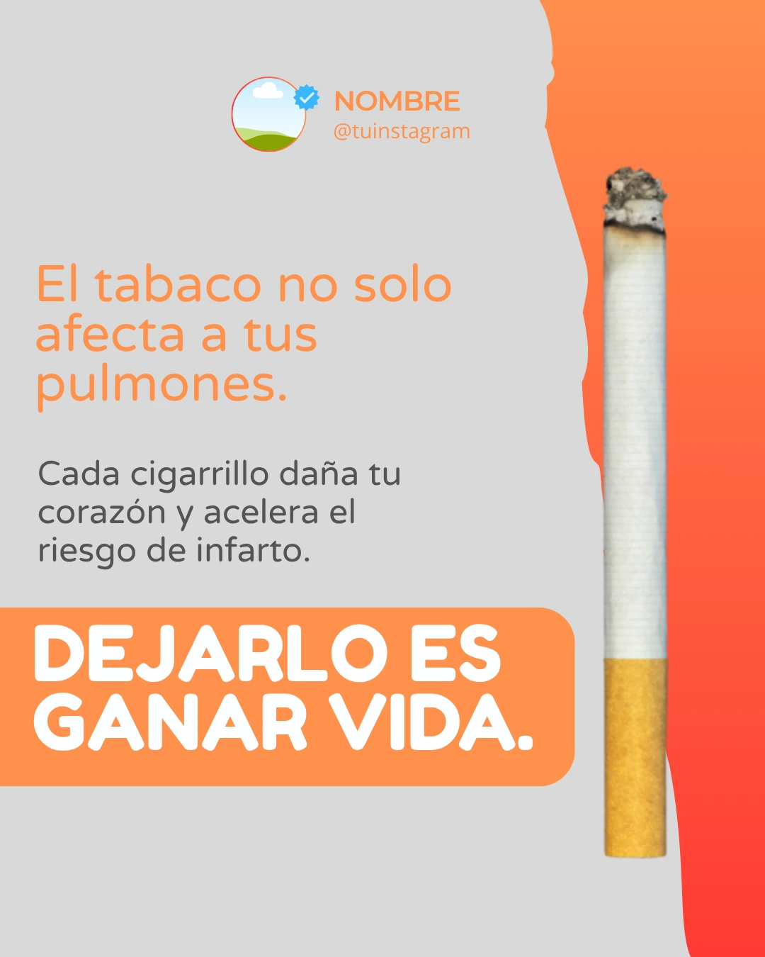 Plantilla feed