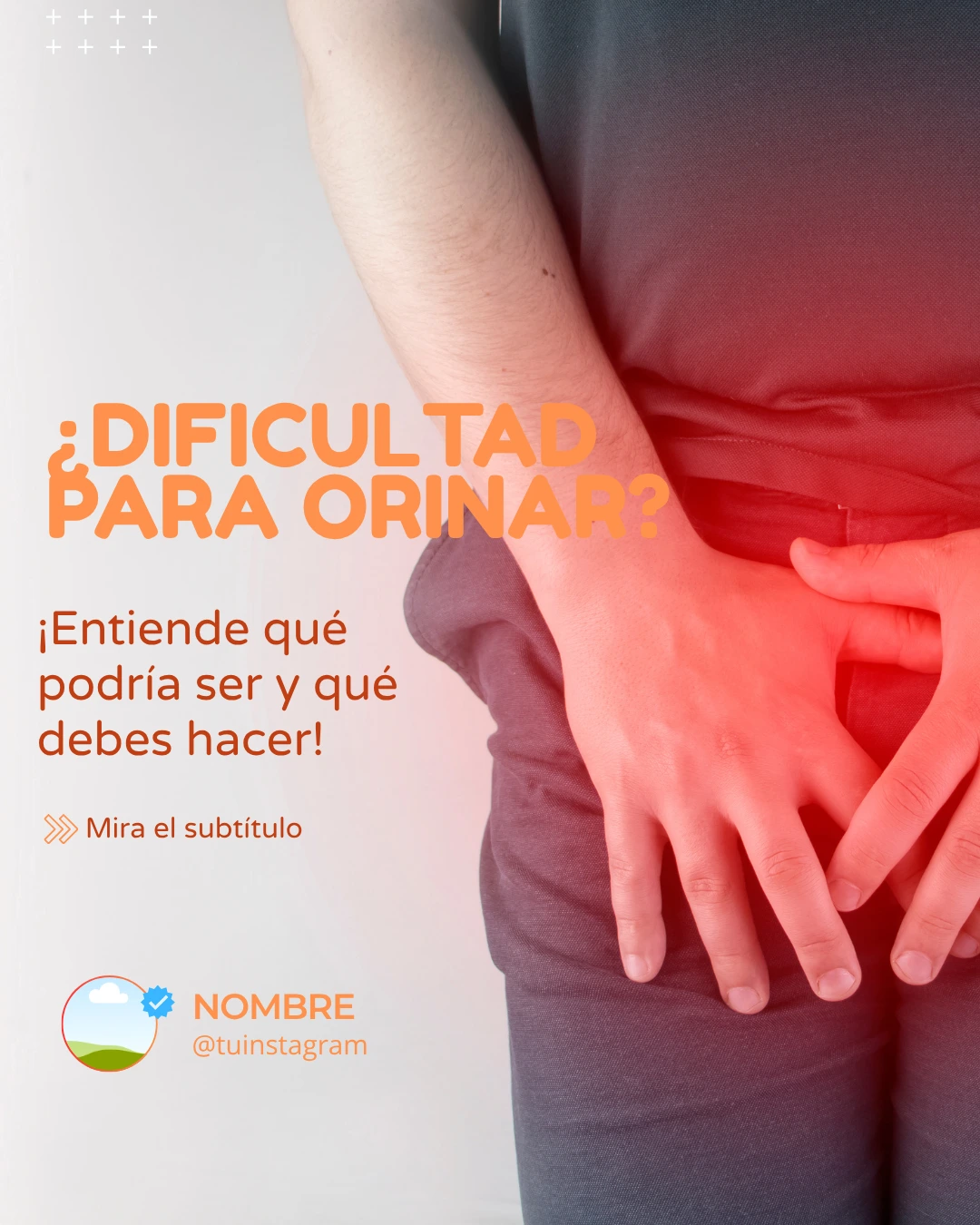 Plantilla feed